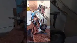 Talento de sobra