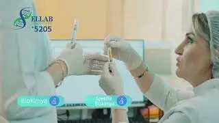 Ellab Diagnostic - Laboratoriya və Analiz Xidmətləri