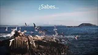 Olimpiadas de Patrimonio Parque Nacional Illas Atlánticas de Galicia