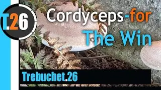 We will get there... Also: Cordyceps for the Win ;)