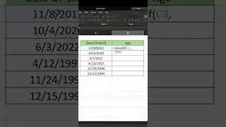 Excel Tutorial | Calculate Age from date of birth