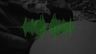 Belly Noises for Stress Relief (ASMR)