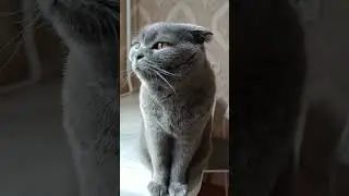 А ВЫ КАК ДУМАЕТЕ?😂 