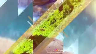 ( хазрати инсон ) Мехрож Шодиев