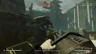 fo76 Jersey Devil & minigun bug