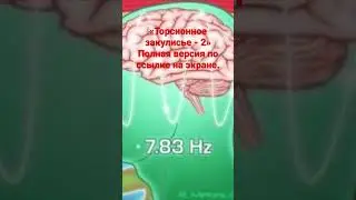 «Торсионное  закулисье-2.»
