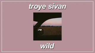 WILD - Troye Sivan (Lyrics)