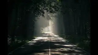 THE DARK AND LIGHT WITHIN