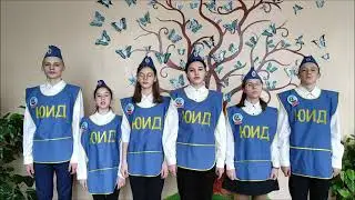 Отряд ЮИД  МБОУ СШ Петровский