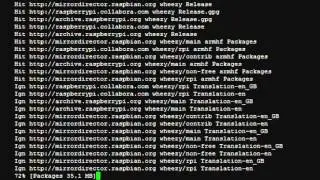 Preparing the Raspberry Pi for Blynk and Wiring Pi