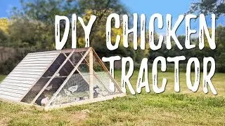 DIY Predator-Proof Chicken Tractor Build