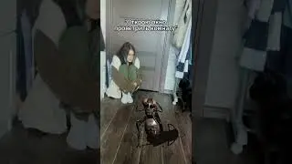 летом особенно || тгк: viconbaconn