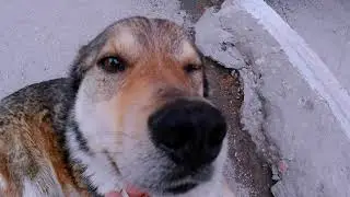 ТЕСТ КАМЕРЫ