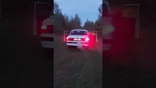 4 пары 16 сильвесторов на разминке.