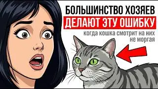 Большинство хозяев делают ЭТУ ошибку, когда кошка смотрит на них не моргая