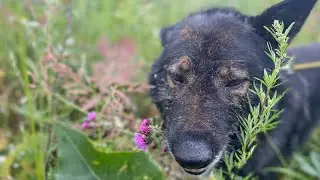 А КТО ЭТО У НАС ТАКОЙ ДОВОЛЬНЫЙ ШЛЕПАЕТ ОТ ВРАЧА?