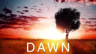 Dawn - Laura Platt