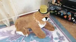 Польём цветочки.
