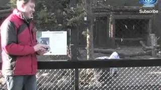 Augmented reality condor boise zoo
