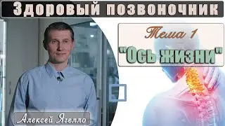 #1 Программа 