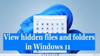 How to view hidden files and folders in Windows 11
