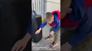 Дача Каменица