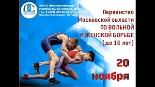 Первенство Московской области по вольной и женской борьбе(до 16 лет)