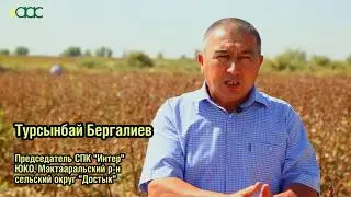 Я - ФЕРМЕР | Как собирают хлопок