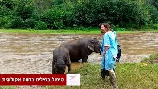 טיול ג'יפים פרטי בצ'אנג מאי | פלייאיסט