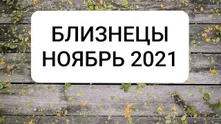 БЛИЗНЕЦЫ. НОЯБРЬ 2021 г.