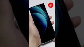 Vivo X100 2