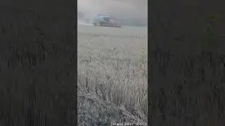 Уборка, Гром по подсолнечнику