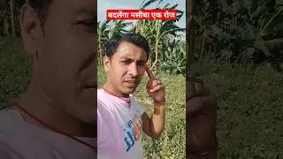 Badlega nasiba ek roj meri maa 