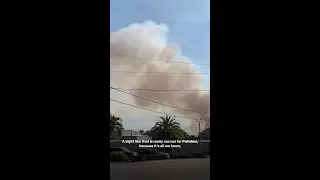 The Annual Sugarcane Burning in Florida Involves Stark Injustices