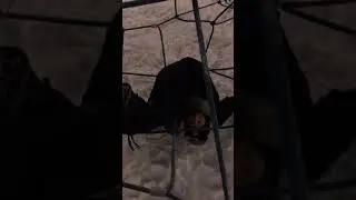 Сводная сестра застряла