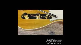 MyDream Partcaster Custom Built - Honey Gold Ash Chambered Alder Tapped Coil