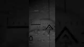 ОХОТА НА ДИКОГО КАБАНА #shorts