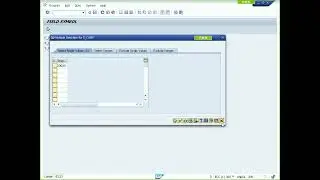 SAP ABAP 25 内存管理 & 增强 Part 01