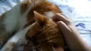 Must Watch :D