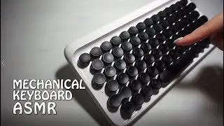 [쯔미 ASMR] 기계식키보드 ASMR/Mechanical Keyboard ASMR