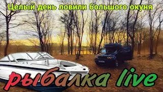 Рыбалка как отдых