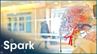 How The Brain Affects Your Sight And Sound | The Brain Fitness Program | Spark