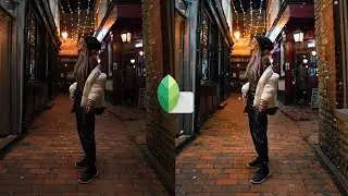 HOW TO: WINTER EDIT IN SNAPSEED (ADD FAKE SNOW)