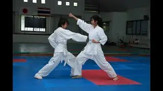 Kata Heian Sho Dan