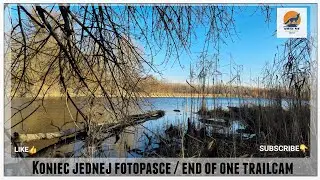 Koniec jednej fotopasce / End of one trail cam