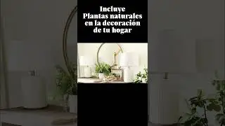 Plantas naturales en tu Mesa Consola. Ventajas de decorar con plantas. Diseño de interiores