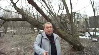 Передача из самого сердца РФ. Вынуск 26Лес сам..ц 26
