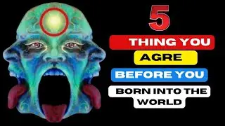 5 THINGS YOU AGRE BEFORE YOU BORN INTO THE WORLD 