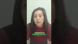 Опасность комаров для собак | Как предотвратить дирофиляриоз