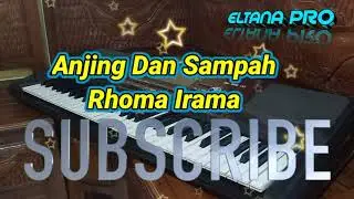 lirik lagu//Anjing dan sampah versi koplo - Rhoma Irama cover pa700